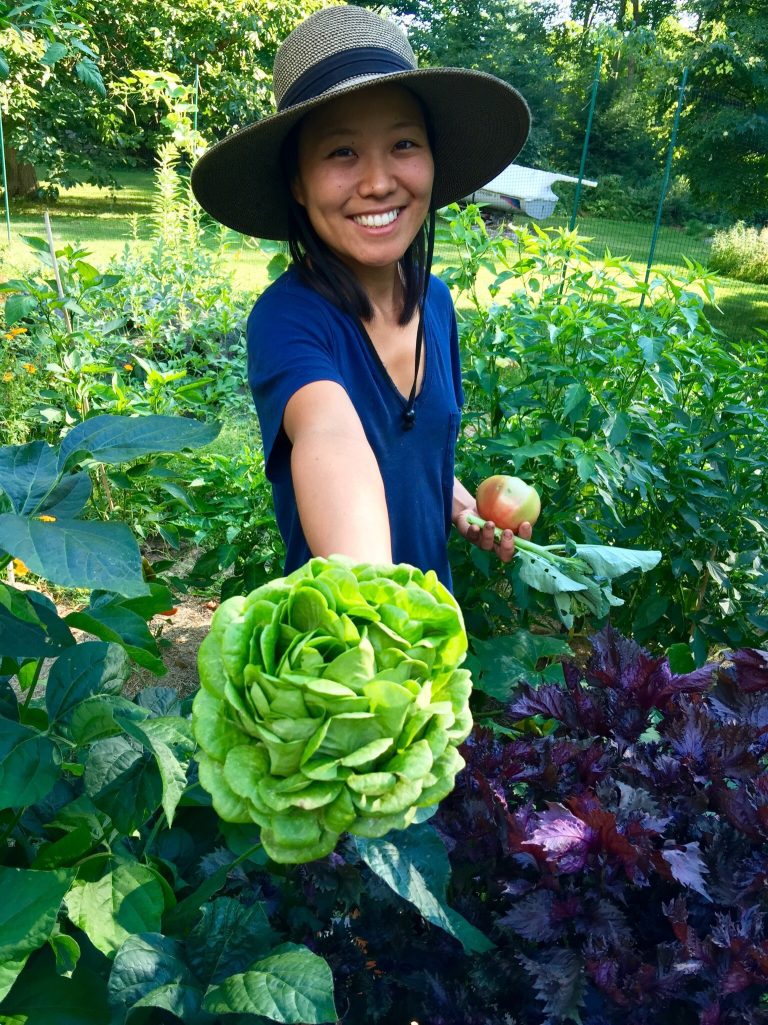 Assawaga Farm - Yoko