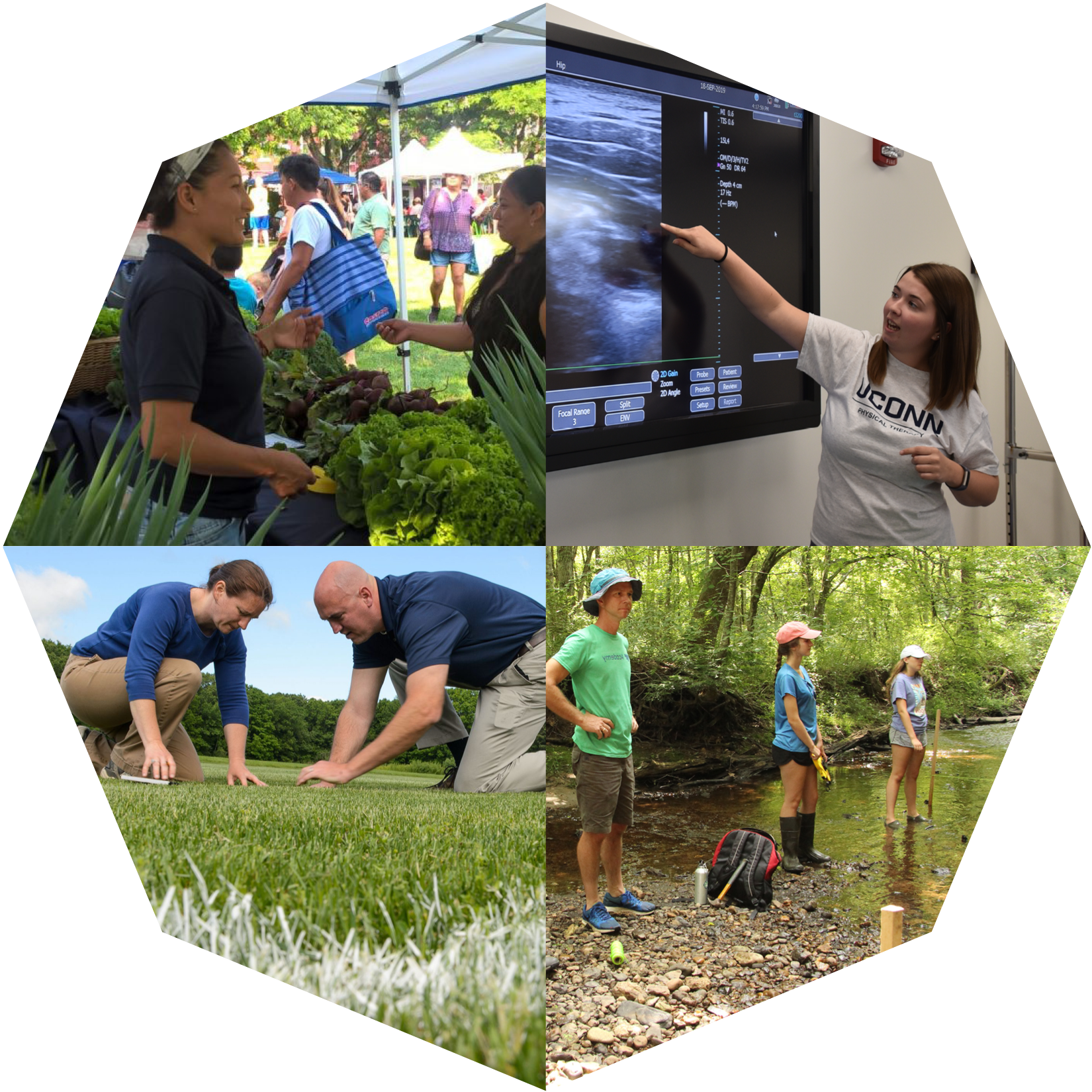 Dr. Lawrence and her field crew quantify wetland vegetation and collect soil and biomass samples in twenty Connecticut wetlands to investigate how tidal restoration and vegetation zones affect carbon storage and nitrogen removal from coastal wetlands.