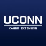 Extension wordmark with blue background
