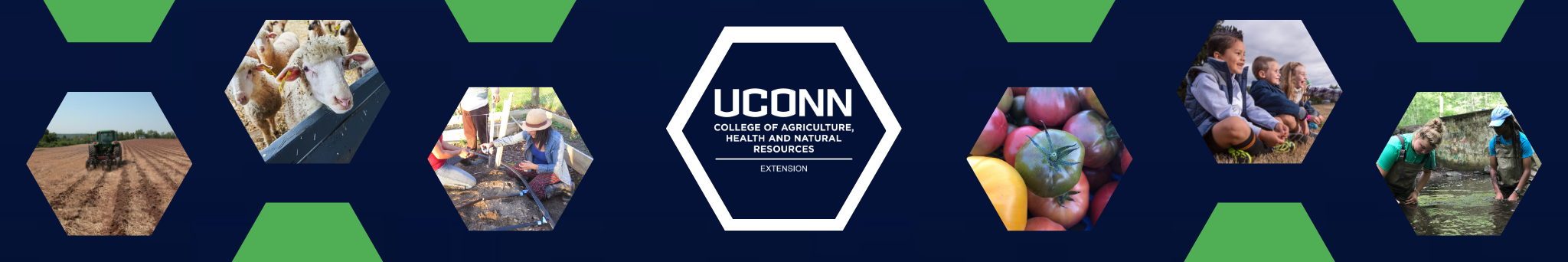 banner of Extension programs