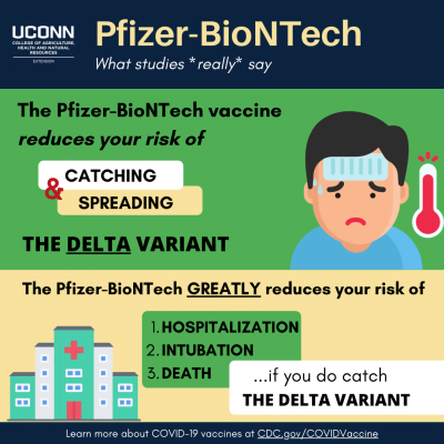 infographic about Pfizer vaccine