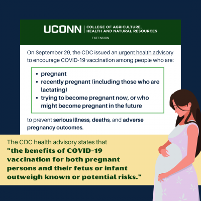 pregnancy and COVID infographic