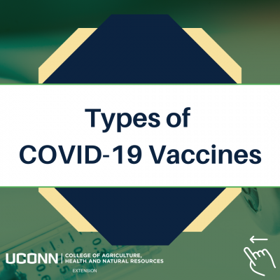 vaccine types infographic