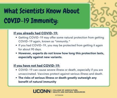 natural immunity infographic