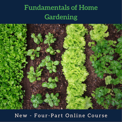 fundamentals of home gardening image