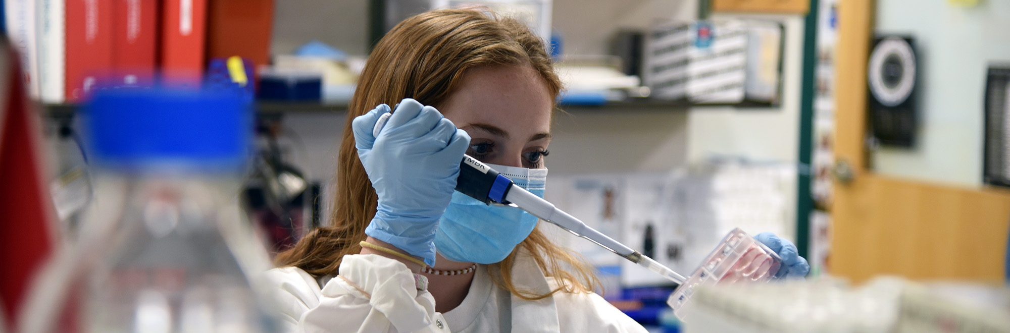 Abigail Interrante, an undergraduate student studying in the Department of Nutritional Sciences