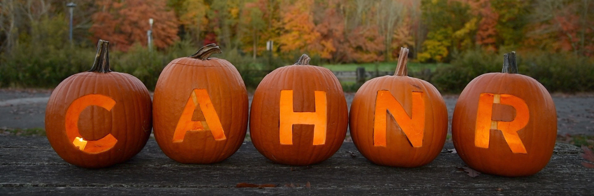 carved pumpkins spelling CAHNR